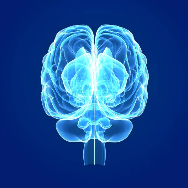 Neuropsiquiatría